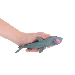 Fidget Toys><noscript><img width=