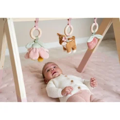 Babyspeelgoed></noscript> Babygym Fairy Garden