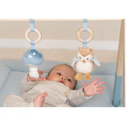 Babygym></noscript> Babygym Forest Friends Fsc