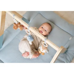 Babygym></noscript> Babygym Forest Friends Fsc