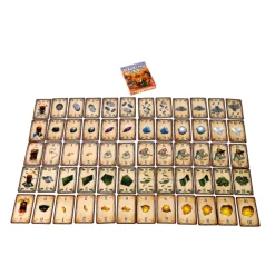 Kaartspellen><noscript><img width=