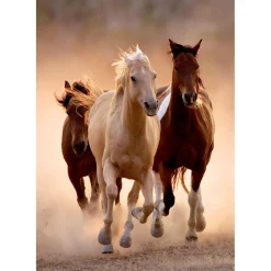 Legpuzzels><noscript><img width=