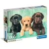 Legpuzzels> Clementoni Puzzel 1000 stuks Labrador pubs 3 kleuren compact