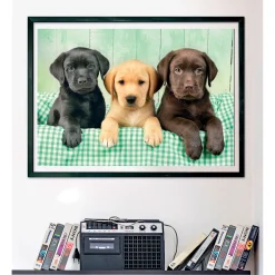 Legpuzzels><noscript><img width=