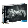 Legpuzzels> Clementoni Puzzel 1000 stuks kitten compact