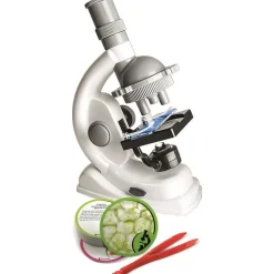 Springtouwen><noscript><img width=