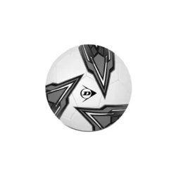 Voetbal> Dunlop bal maat 5 5 assorti