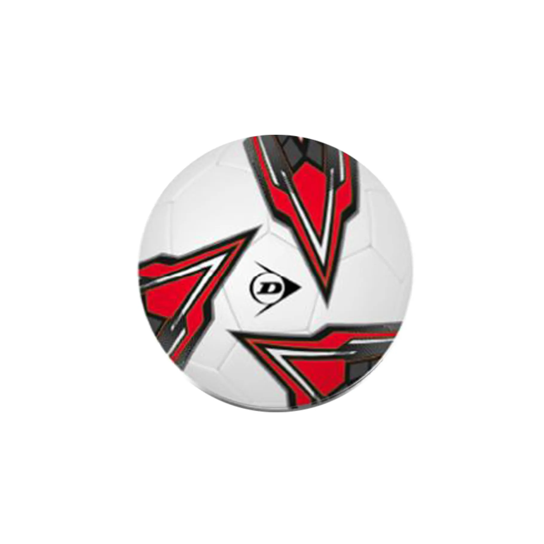 Voetbal> Dunlop bal maat 5 5 assorti
