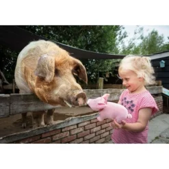 Dieren Knuffels En Pluche></noscript>Fien En Teun Fien & Teun Knuffel Varken Sebastiaan