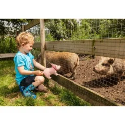 Dieren Knuffels En Pluche></noscript>Fien En Teun Fien & Teun Knuffel Varken Sebastiaan
