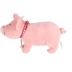 Overige><noscript><img width=