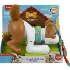 Babyspeelgoed>Mattel Fisher Price 123 Crawl With Me Puppy Nl
