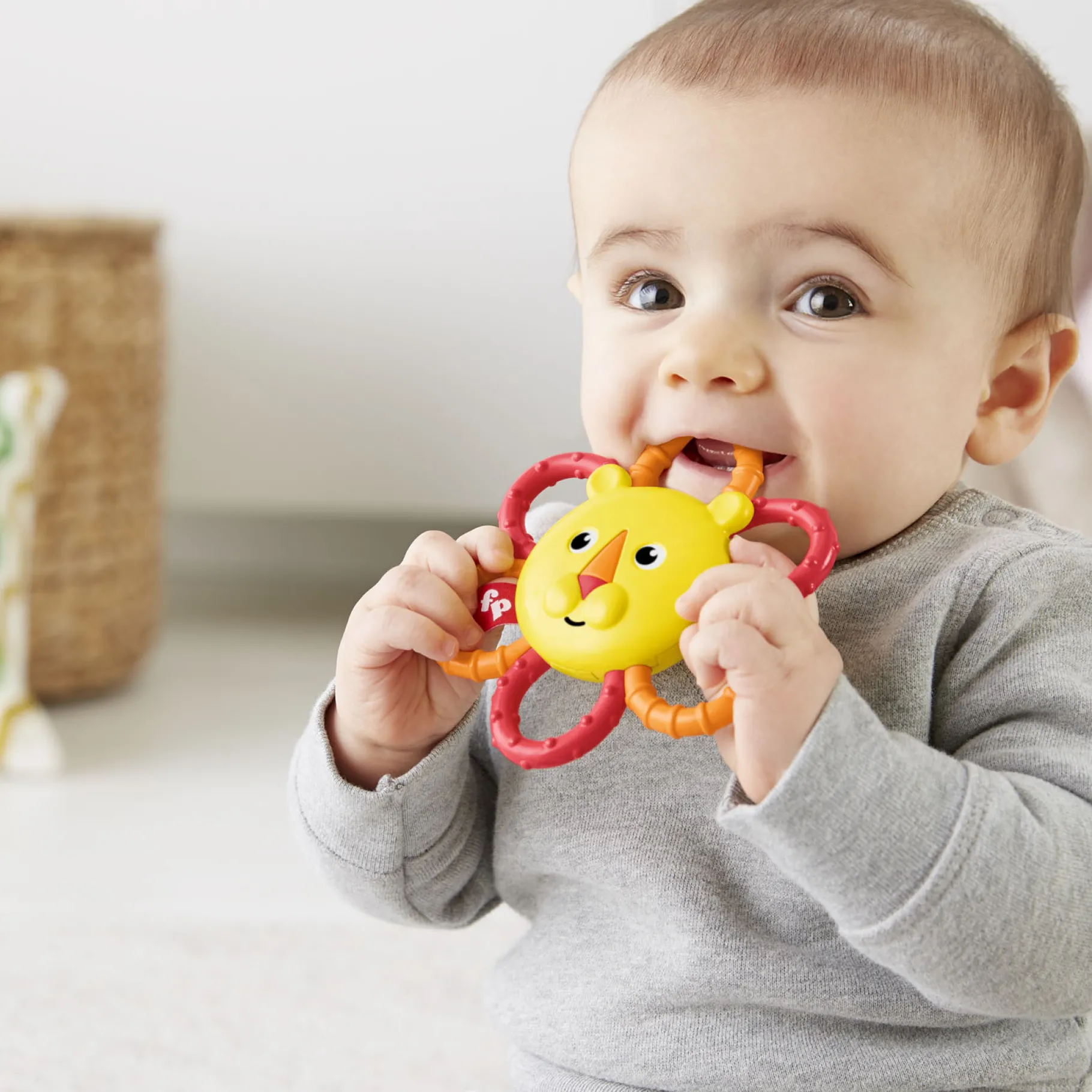 Bijtringen>Mattel Fisher Price Bijtring Leeuw