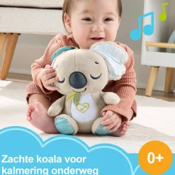 Babyspeelgoed></noscript> Fisher price on the go koala soother