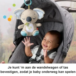 Babyspeelgoed></noscript> Fisher price on the go koala soother