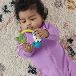 Rammelaars></noscript> Fisher Price rammelaar assorti