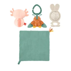 Bijtringen> Fisher price so many senses kado set