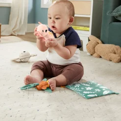 Bijtringen><noscript><img width=