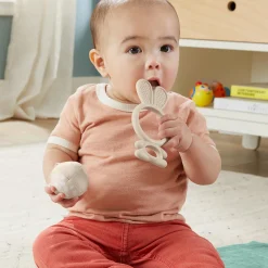 Bijtringen><noscript><img width=