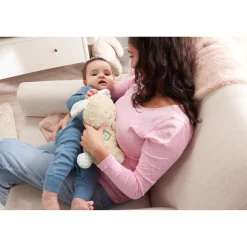 Babyspeelgoed></noscript> Fisher Price Soothe And Settle Bunny