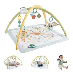 Babygym> Fisher Price symply senses gym