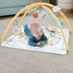 Babygym></noscript> Fisher Price symply senses gym