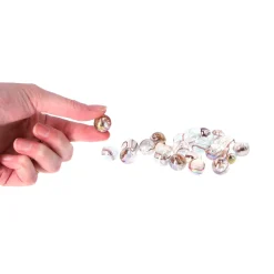 Knikkers></noscript> Knikkers 20 +1 4 Assorti