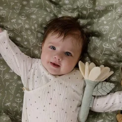 Rammelaars><noscript><img width=