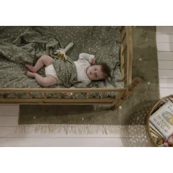 Rammelaars><noscript><img width=