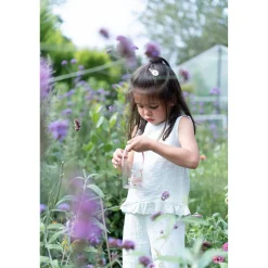 Babyspeelgoed></noscript> Little Dutch Insectenpotje - Fairy Garden