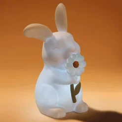 Verlichting> Little Dutch nachtlamp konijn