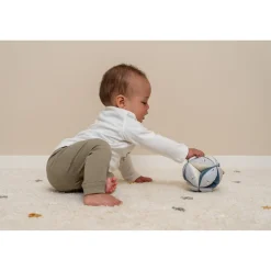 Bijtringen><noscript><img width=