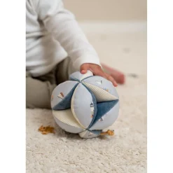 Bijtringen><noscript><img width=