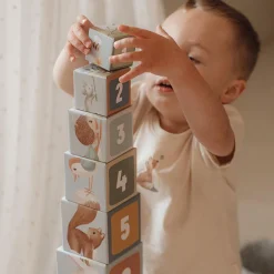 Stapeltorens><noscript><img width=