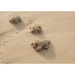 Zwemmen En Waterspeelgoed><noscript><img width=