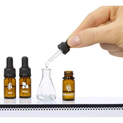 Surprise><noscript><img width=