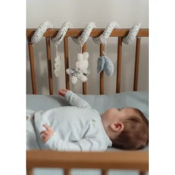 Boxhangers></noscript> Nijntje Activiteitenspiraal Lucky Leaves