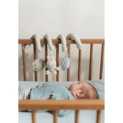 Boxhangers></noscript> Nijntje Activiteitenspiraal Lucky Leaves