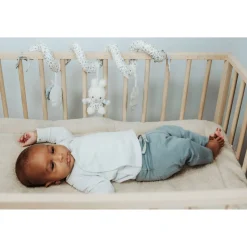 Boxhangers></noscript> Nijntje Activiteitenspiraal Lucky Leaves