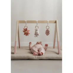 Babygym></noscript> Nijntje Babygym Lucky Blossom