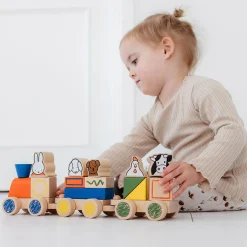 Houten Blokken><noscript><img width=