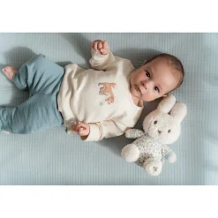 Plucheknuffels></noscript> Nijntje Knuffel 20 Cm Lucky Leaves