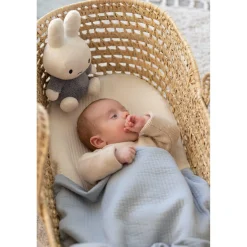 Plucheknuffels><noscript><img width=