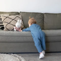 Plucheknuffels><noscript><img width=