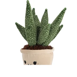 Overige><noscript><img width=