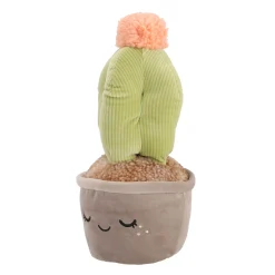 Overige><noscript><img width=