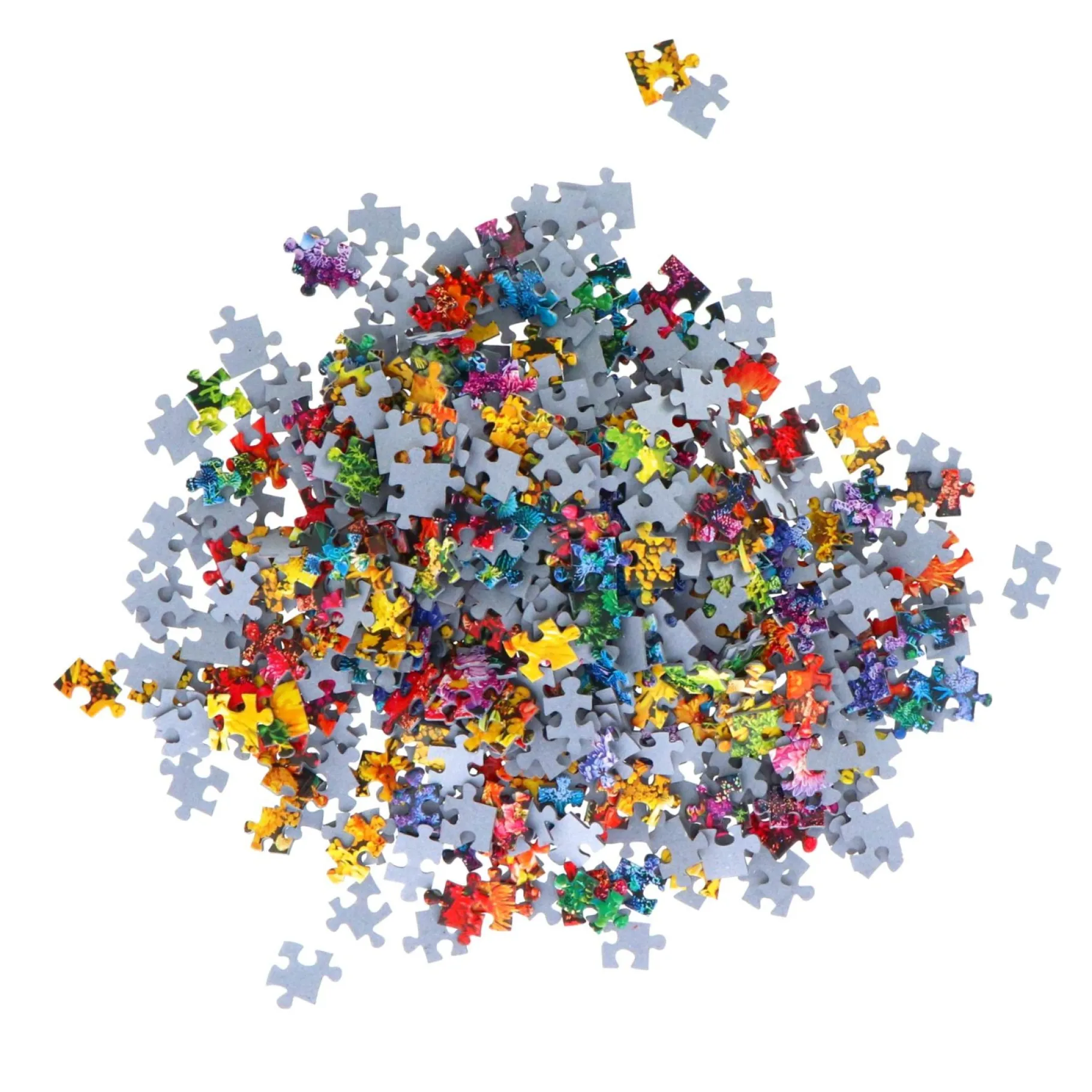 Legpuzzels>Clementoni Puzzel Flower Colorboom 1000 stukjes