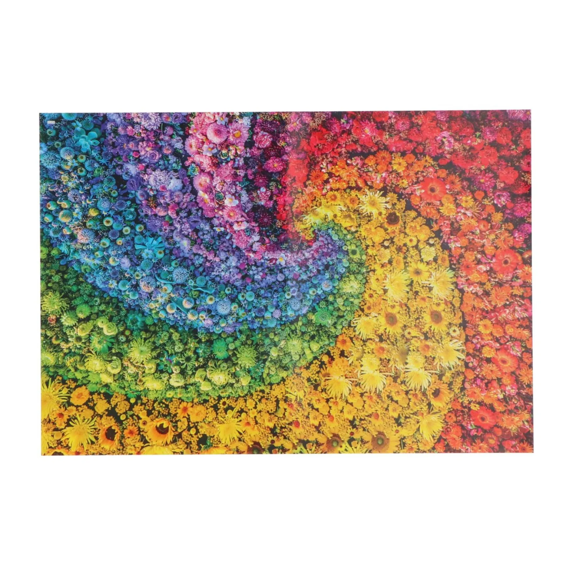 Legpuzzels>Clementoni Puzzel Flower Colorboom 1000 stukjes