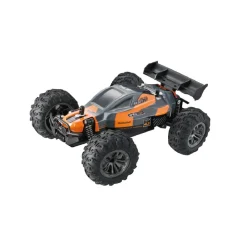 Radiografisch>Rapid Wheels Radiografisch Bestuurbare Auto Storm Riders 1:18 2.4Ghz