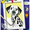 Verven / Schilderen>Ravensburger Creart schilderen op nummer  Dalmatiër